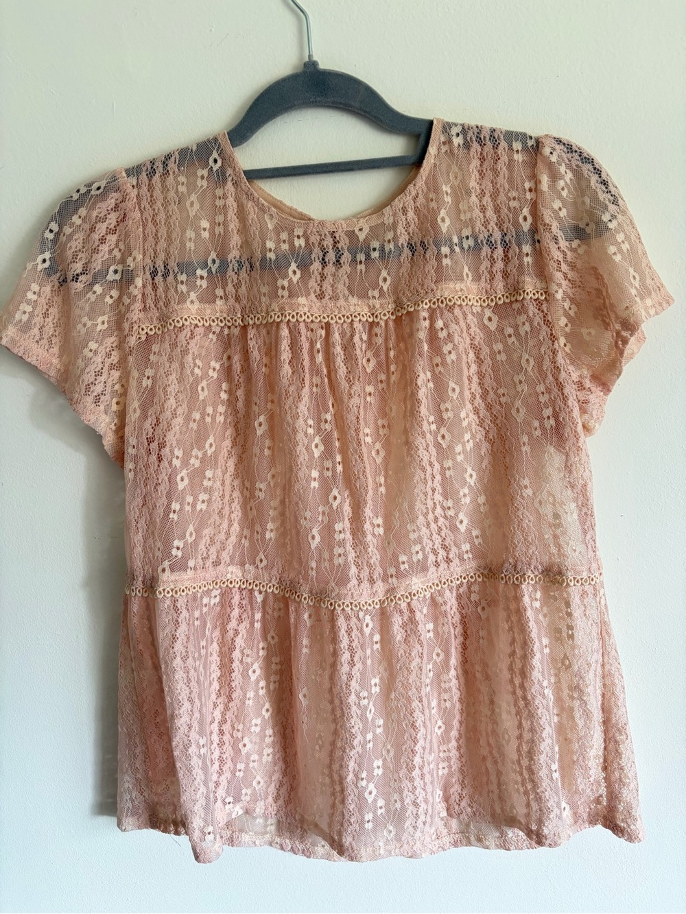 Lace Short Sleeve Sheer Top - Blush Pink fairy coquette